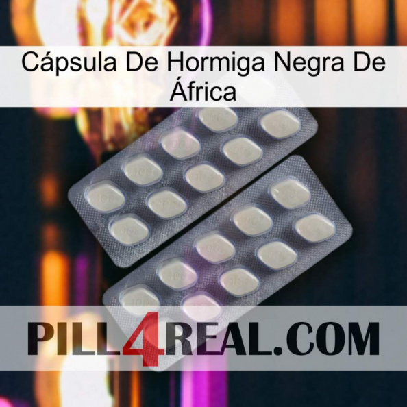 Cápsula De Hormiga Negra De África 07